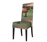 BROLEO Removable Dining Chair Covers Nature Scenic Horse Picture - Soft, Comfortable, Wrinkle Resistant, No Ironing Needed Stretchable for Most Armless Chair