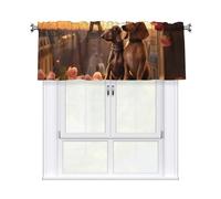 BROLEO Short Curtains with Valance Rod 54x18in Romantic Dachshunds Printed for Kitchen, Bathroom, bedroom, Studio, Fits Most Standard or Decorative Curtain Rods