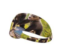 BROLEO Three Bears Playing Printing Sports Headband for Women Sweat Proof Bandeau Summer Elastic Band