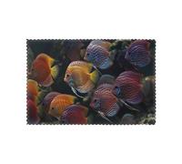 BROLEO Tropical Fish School Prints Placemats Set of 6 12x18in - Premium Quality Heat Resistant Dining Table Mats for Home & Kitchen Decor