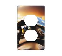 BROLEO Turtle on a Boulder Printing Double Socket Wall Panel Decorative is Durable and Suitable for Socket Light Switch Accessories 4.5x2.76in
