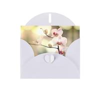 BROLEO White Greeting Card An orchid. Picture for Christmas, Children's Birthday, Valentine's Day, and Party Invitation