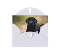 BROLEO White Greeting Card Black Labrador Puppy Picture for Christmas, Children's Birthday, Valentine's Day, and Party Invitation