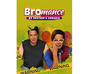Bromance: My Brothers Romance