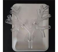 Bronchoscope Bronchial Tree Anatomy Model, Resin Bronchoscopy Training Model, Fibreoptic Bronchial Teaching Model, for Doctor Teaching Medical School Nursing Learning.(Level 3 transparent)