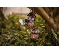 Bronze 2pc Acorn Bird Feeder Marco Paul Brown One Size