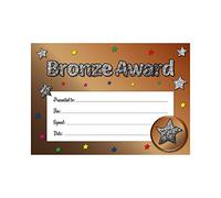 Bronze Award Sparkly Holographic Certificate from SuperStickers