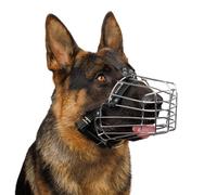 BRONZEDOG Dog Muzzle Adjustable Durable PVC Wire Basket for Large and Extra Large Dogs with Leather Straps Breathable, Drinkable, Training, Prevents Biting (Stainless Steel, German Shepherd, Large)