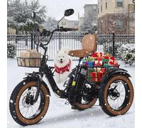 Broobey Electric Tricycle for Adults 750W(Peak 1350W) 48V15.6Ah Ebike Folding Aluminum Alloy Fat Tire 3 Wheel Electric Trike Hydraulic Shock Absorber Hydraulic disc Brake, Rear Motor Differential