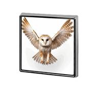 Brooch Pins Metal A Barn Owl Lapel Pins Decorative Badge Button Cool Hats Bags Backpacks Suits Shirts Scarves Pin Cool Jewelry Charms Clothing Accessories Men Women Gift