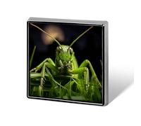 Brooch Pins Metal Grasshopper on Grass Lapel Pins Decorative Badge Button Cool Hats Bags Backpacks Suits Shirts Scarves Pin Cool Jewelry Charms Clothing Accessories Men Women Gift