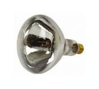Brooder Incubation Lamps Chickens Ducks Poultry Hatching Eggs-250W Screw Type Warming Bulb