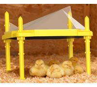 Brooder Plate for Chicks, 14"x11"Adjustable Temperature & Height Heating Plate for Chicken with Anti-Roost Cone, Easy-Clean Poultry Coop Heater for Up to 18-22 Chicks