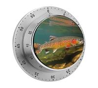 Brook Trout Fly Fishing Mechanical Kitchen Timer 60 Minute Wind Up Countdown Clock with Magnetic Back Loud Alarm Stainless Steel Manual Timer for Cooking Baking Classroom Home Gym