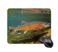 Brook Trout Fly Fishing Mouse Pad Square Laptop Mouse Mat Cute Computer Mousepad Keyboard Pad Non-Slip Desk Pads for Gaming Office Work Home 20 * 25cm