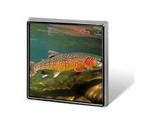 Brook Trout Fly Fishing Square Lapel Pin Women's Novelty Buttons & Pins Metal Badge Cute Brooch Pin Retro Pinback Badge Fashion Bag Pins for Hat Backpacks Tie Suit Wedding Party Accessory