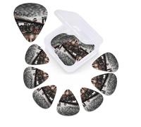 Brooklyn Bridge Print Guitar Picks 12 Pack Guitar Plectrums with Storage Box Bass Picks For Acoustic Guitar Bass Electric Ukulele Includes 0.46mm, 0.71mm, 0.96mm