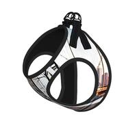 Brooklyn Bridge Print Pet Leash Vest Soft Adjustable Step in Puppy Vest Outdoor Walking with Leash