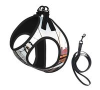 Brooklyn Bridge Print Small Dog Harness with Leash Set, No Escape Easy Walk Puppy Harnesses for Training Walking