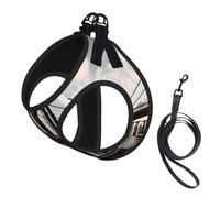 Brooklyn Bridge s printing Puppy Harness, Dog Harness and Leash Set, Soft Mesh Reflective Breathable Lightweight Vest-Style