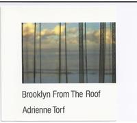 Brooklyn from the Roof