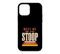 Brooklyn NY Brooklyn Neighborhood Local Pride Gift Case for iPhone 12 mini