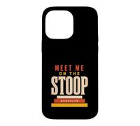 Brooklyn NY Brooklyn Neighborhood Local Pride Gift Case for iPhone 14 Pro Max