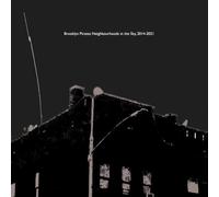Brooklyn Pirates: Neighbourhoods In The Sky, 2014-2021 [VINYL]