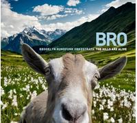 Brooklyn Rundfunk Orkestrata - The Hills Are Alive