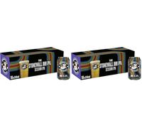 Brooklyn Stonewall Inn IPA 10x330ml (Pack of 2)
