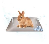 brooksnaji Hamster Cooling Mat, Rabbit Cooling Pad, 19.6 x 11.8 Inch Reusable Aluminum Cooling Plate for Pets, by
