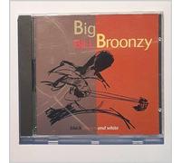 Big Bill Broonzy - Black Brown And White