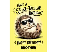 Brother Birthday Card (Funny Hedgehog Quote Humour)
