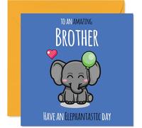Brother Birthday Card - Have An Elephantastic Day - Happy Birthday Card for Brother from Sister Sibling, 145mm cute elephant Bday Greeting Cards