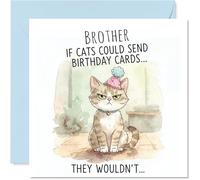 Brother Birthday Card - If Cats Could Give Cards - Happy Birthday Card for Brother from Sister Sibling, 145mm sassy cat illustration Bday Greeting Cards