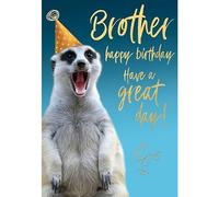 Brother Funny Birthday Card - Humorous Meerkat Design - Special Finishes - Made in the UK - Eco-Friendly