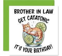 Brother in Law Birthday Card, Catatonic | Happy Birthday Card for Brother in Law from Sister Sibling, 145mm Cute Animal Design Bday Greeting Cards