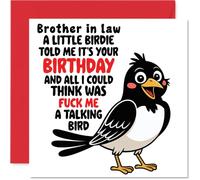 Brother in Law Birthday Card, Talking Bird