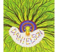 Brother Is to Son by Danielson (2004-06-08)