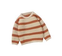 Brother Knitted Sweater & Pullover for Kids, Toddlers & Babies - Boy's Warm Khaki Jumper Top, Size 6M-3Y