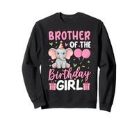 Brother Of The Birthday Girl Elephant Balloons Birthday Sweatshirt