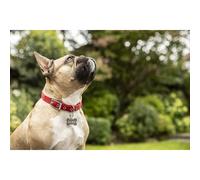 Brother TZe-PR935 Labelling Tape Cassette, Black on Premium Silver, 12 mm (W) x 8 m (L), Laminated, Brother Genuine Supplies