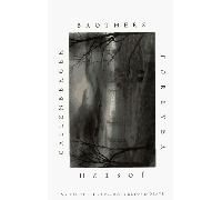 Brothers Forever: An Unexpected Journey Beyond Death