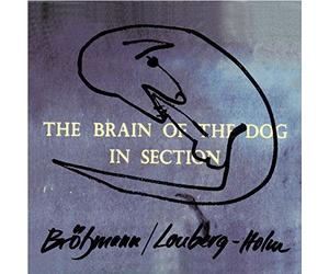 Brotzmann, Peter - The Brain Of The Dog In Section
