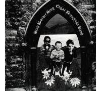 Broughton,Edgar Band - Sing Brother Sing