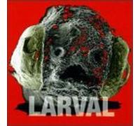 Brovold, Bill - Larval