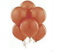 Brown Balloons - 10 Inch Plain Balloons Pack of 50 for Birthday, Wedding, Engagement & Baby Shower Decoration