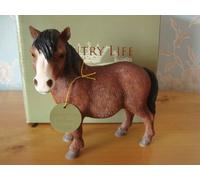 Brown Bay Shetland Pony Figurine From Leonardo