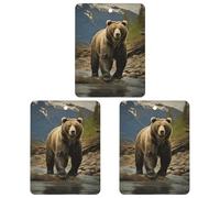 Brown Bear Car Air Freshener Hanging Incense Chips 3 Pack Automotive Scented Hanging Sheets Square for Car Home Auto Interior Decor