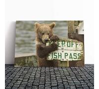 Brown Bear Cub Canvas Print | Gallery Wrapped 30mm Frame Wall Art | 24x16 inches | Ready to Hang | Modern Animals Picture | Living Room Bedroom Lounge Office